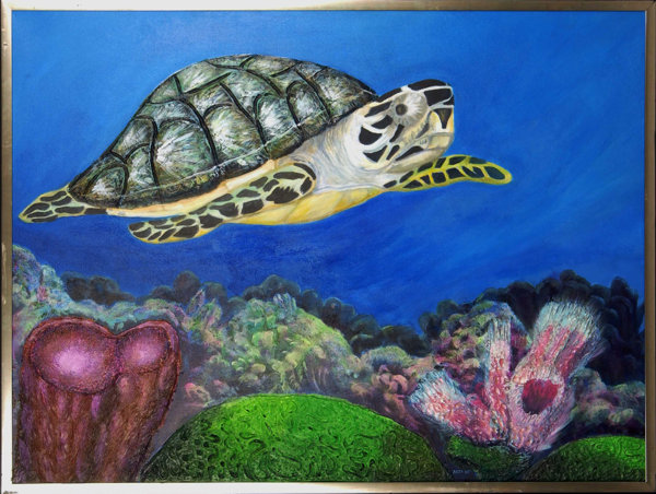 Hawksbill Turtle. Click to go back to thumbnails.