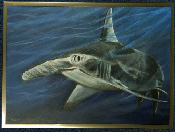 Hammerhead Shark. Click to go back to thumbnails.